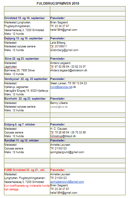 2018-03-31 10_23_26-Fuldbrugsprøver 2018 – Google Docs – Google Chrome